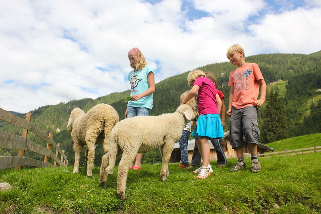 Streicheltiere - Familienurlaub im Salzburger Land, Untertauern