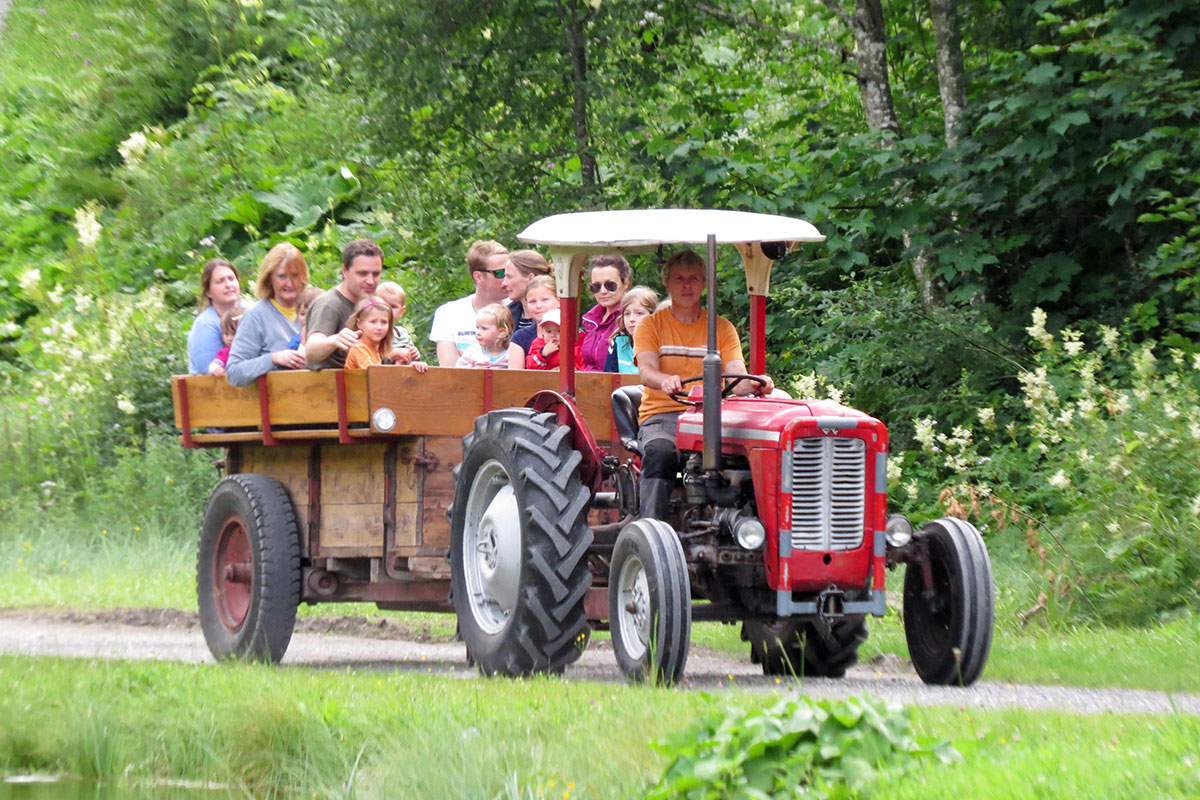 Ausflug mit dem Oldtimer-Traktor - Marchlhof