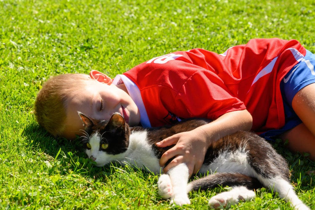 Katze · Familienurlaub & Urlaub am Bauernhof Marchlhof in Untertauern