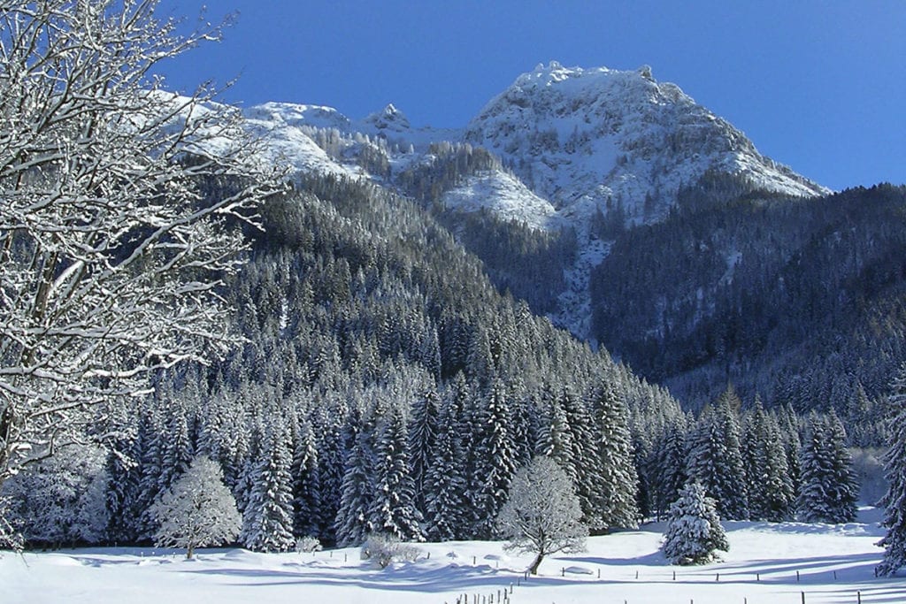 Winterurlaub & Bauernhofurlaub in Untertauern, Marchlhof